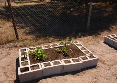 firstSteps_stPatricksGardenClub_03