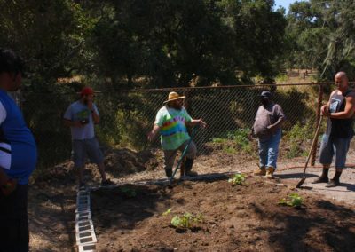 firstSteps_stPatricksGardenClub_07