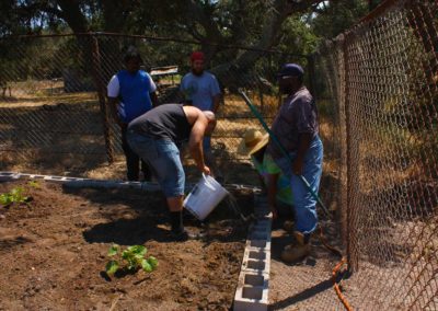 firstSteps_stPatricksGardenClub_08