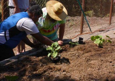 firstSteps_stPatricksGardenClub_09