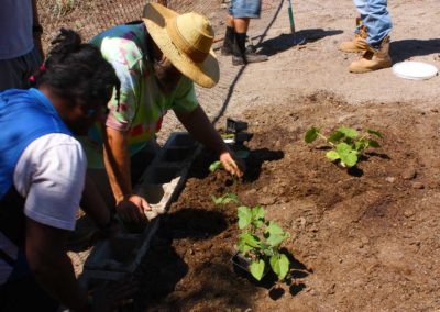 firstSteps_stPatricksGardenClub_10