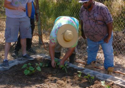 firstSteps_stPatricksGardenClub_11