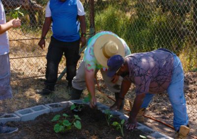 firstSteps_stPatricksGardenClub_12