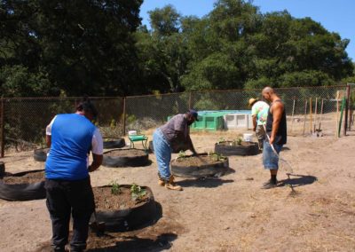 firstSteps_stPatricksGardenClub_17