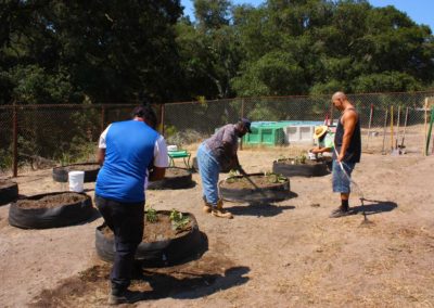 firstSteps_stPatricksGardenClub_18