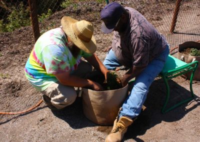 firstSteps_stPatricksGardenClub_27