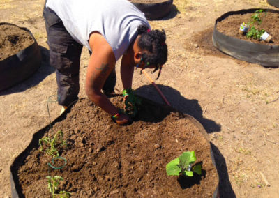 firstSteps_stPatricksGardenClub_35