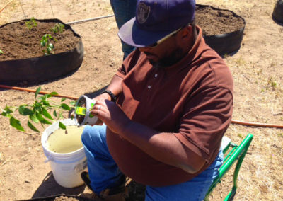 firstSteps_stPatricksGardenClub_36